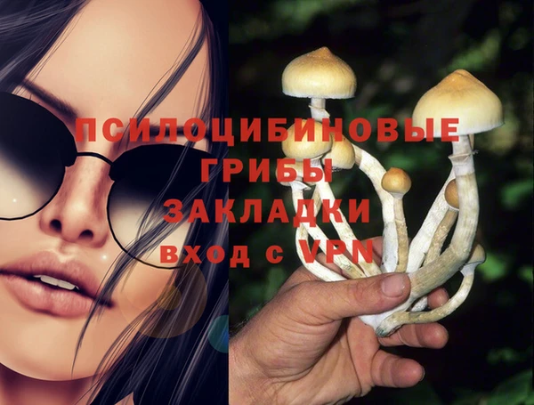 дурь Ступино