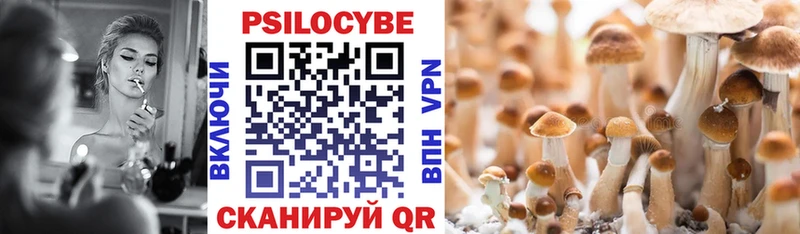 Галлюциногенные грибы Cubensis  Юрьевец 